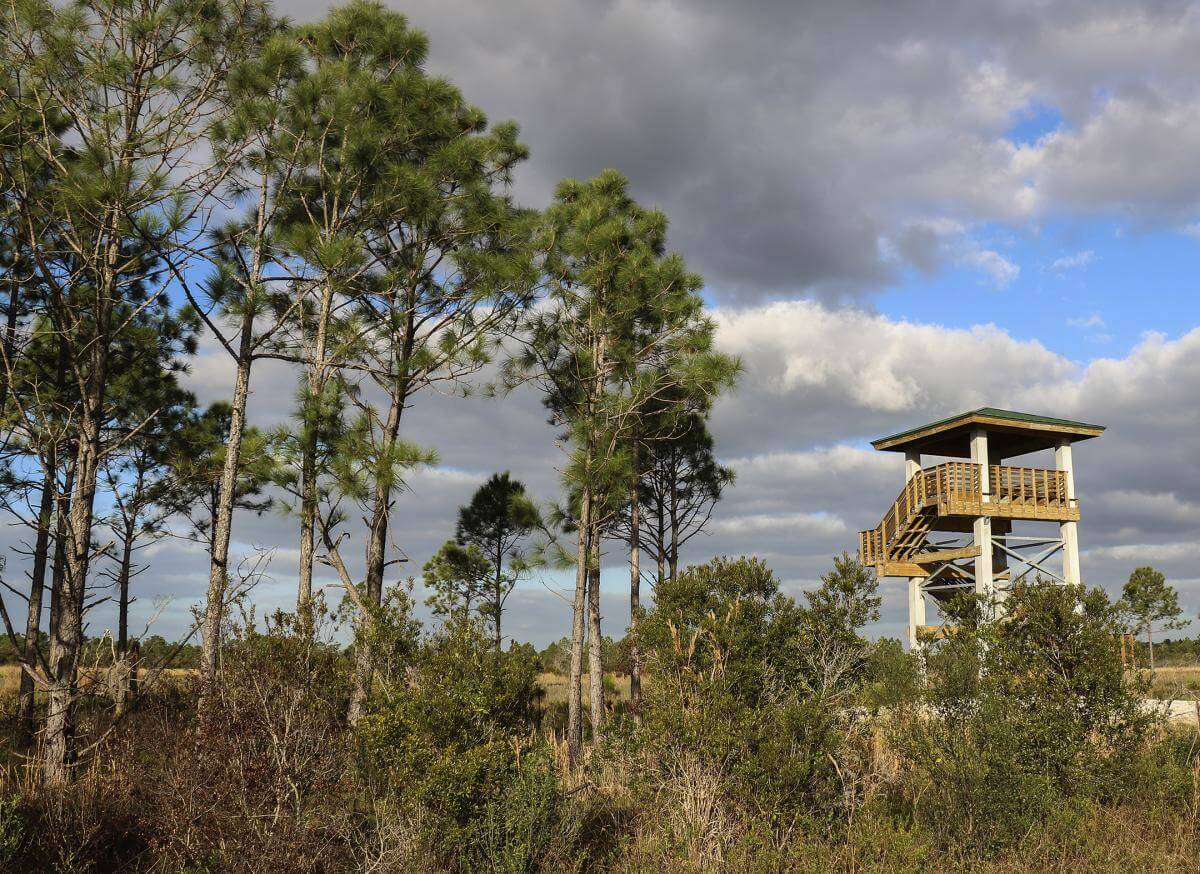 Observation tower at Loxahatchee Slough Natural Area